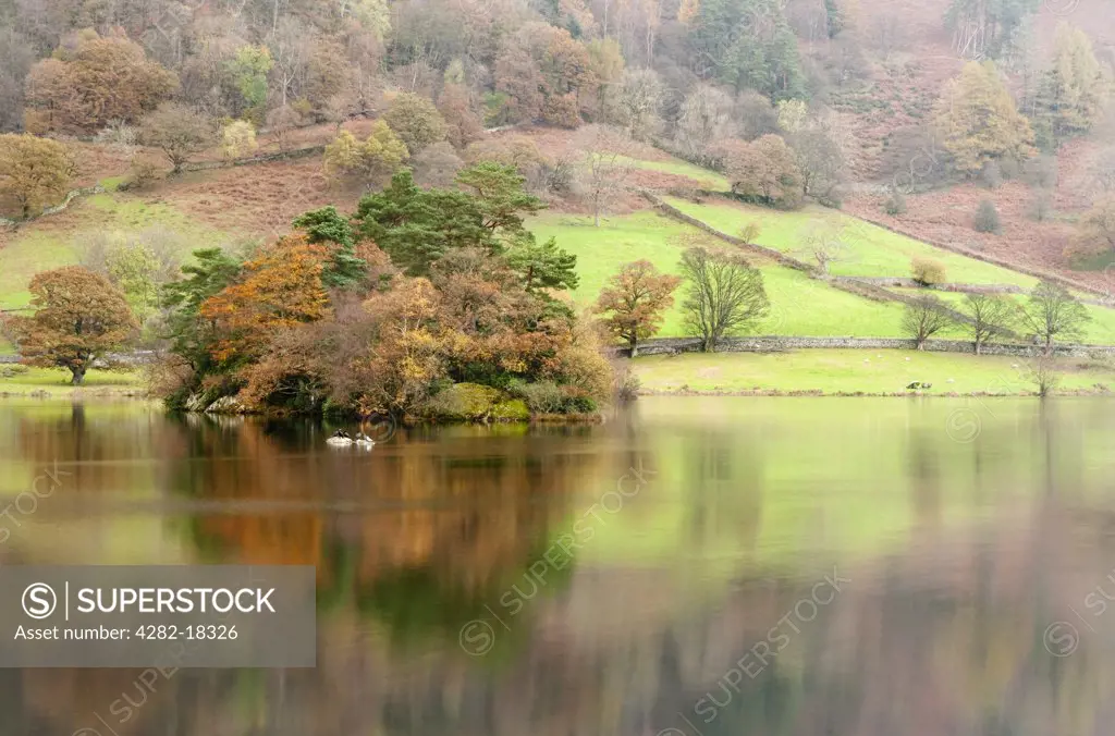 England, Cumbria, Rydal Water. Autumnal colours reflected in Rydal Water in the Lake District.