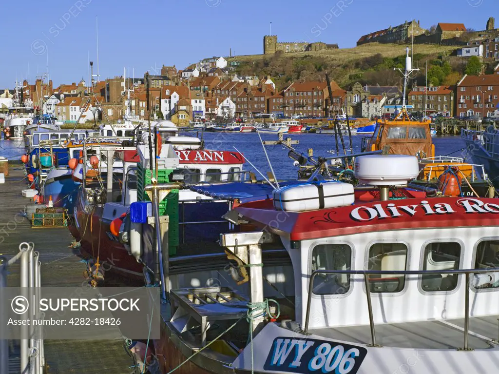 England, North Yorkshire, Whitby. Fishing boats moored in Whitby harbour.