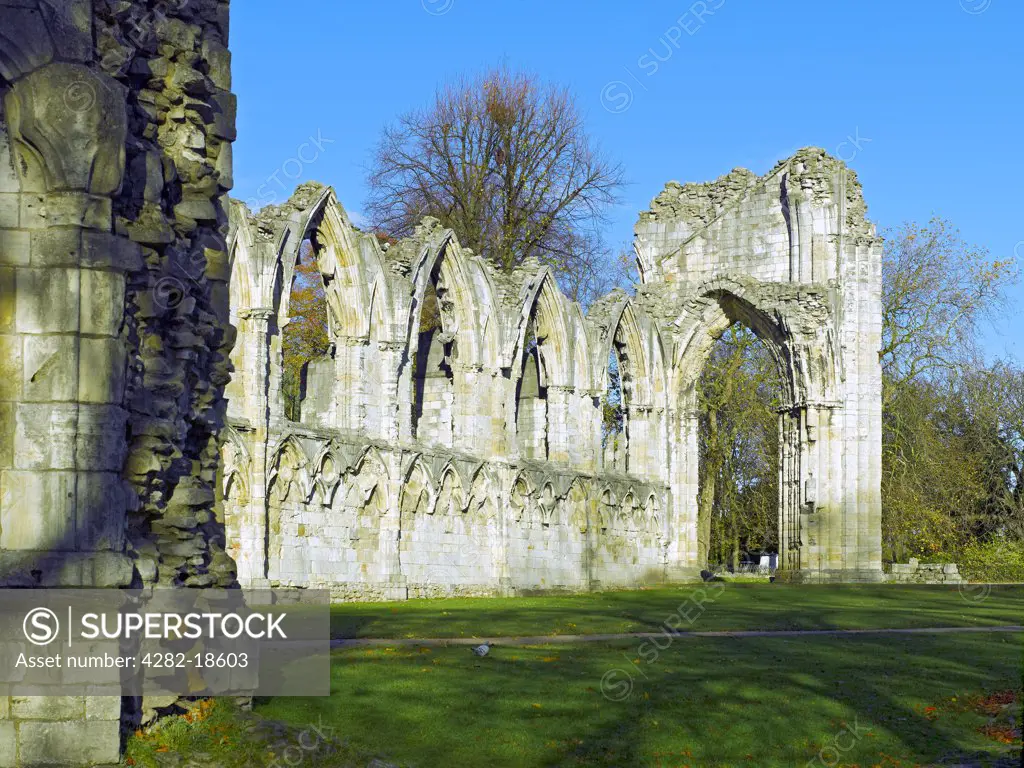 England, North Yorkshire, York. Ruins of St Mary's Abbey Church in the Yorkshire Museum Gardens in autumn.