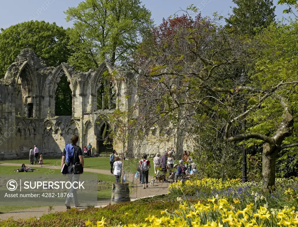 England, North Yorkshire, York. People walking in Yorkshire Museum Gardens past the ruins of the Abbey of St Mary, once the richest abbey in the north of England.