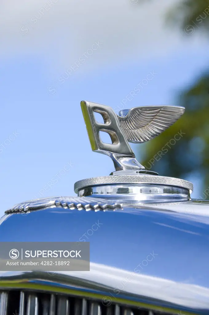 England, North Yorkshire, -. An iconic winged Bentley B car mascot.