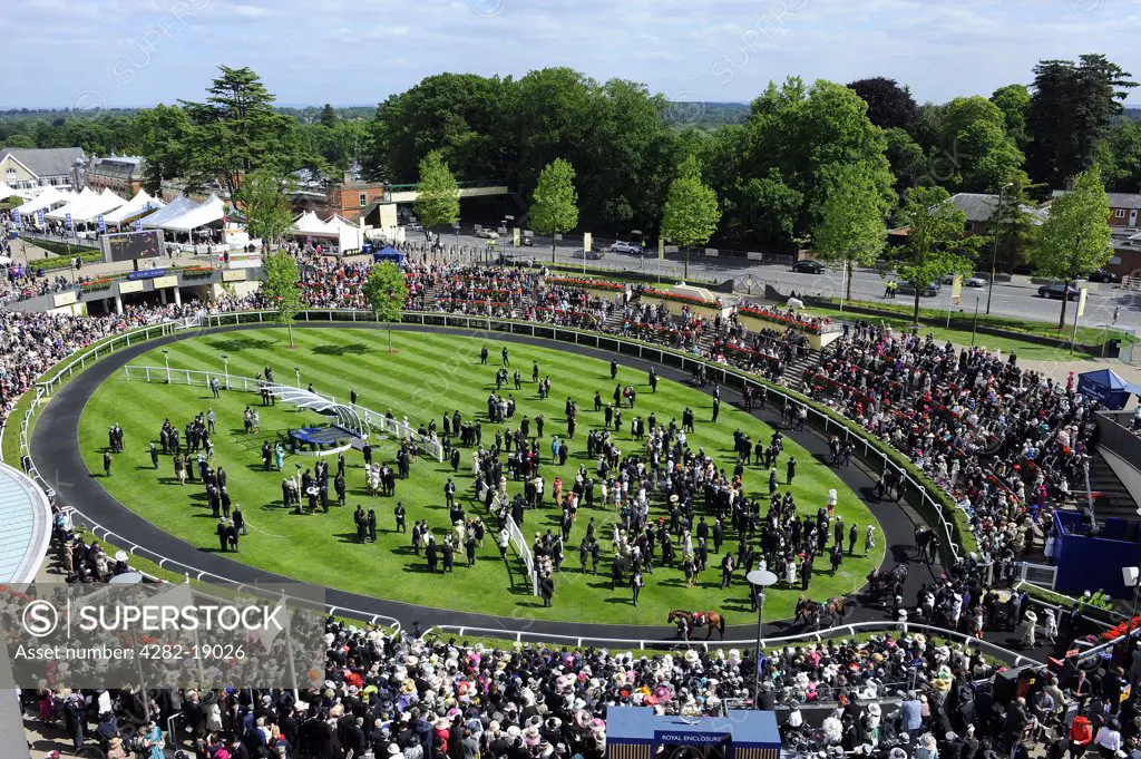 England, Berkshire, Ascot. Overhead view of the parade ring during day one of Royal Ascot 2010.