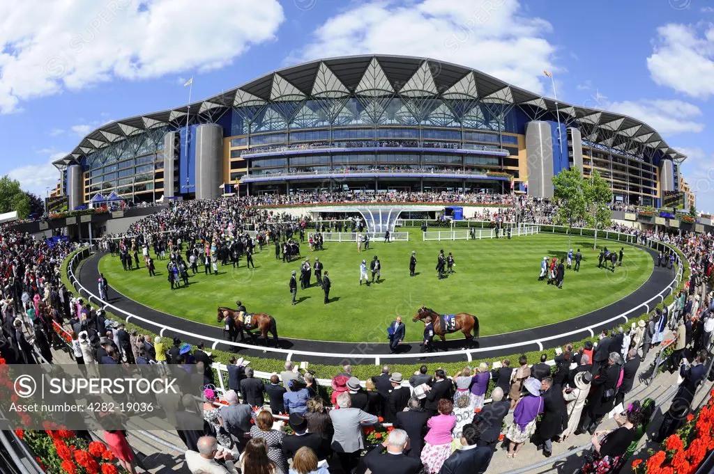 England, Berkshire, Ascot. Horses parading in the parade ring before smartly dressed spectators during day one of Royal Ascot 2010.