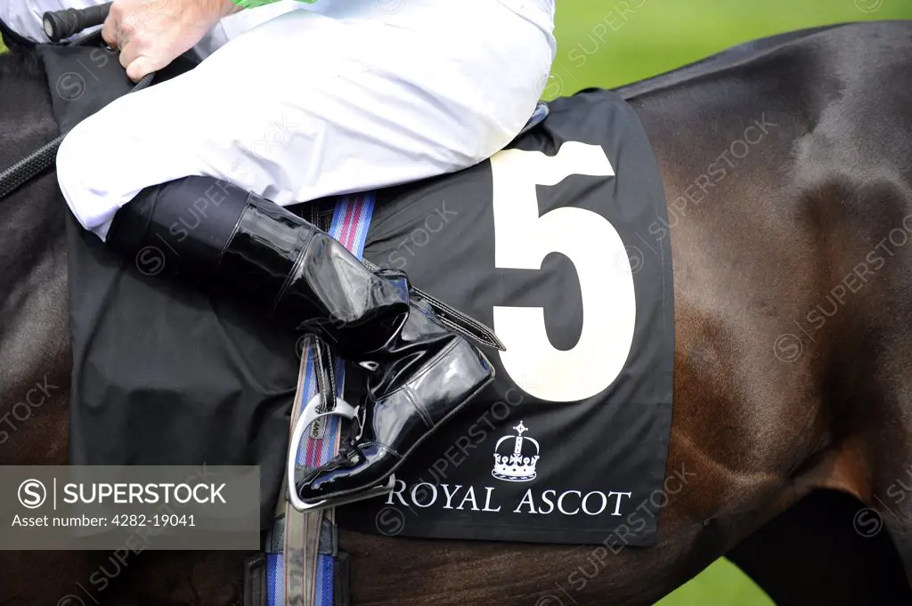 England, Berkshire, Ascot. Detail of a jockey's boots and saddle cloth mounted on a race horse during day one of Royal Ascot 2010.