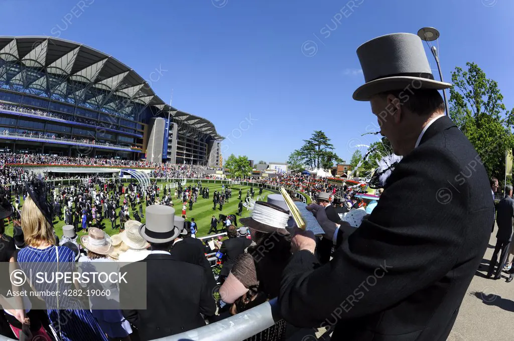 England, Berkshire, Ascot. A smartly dressed man wearing a top hat checking the form guide as race horses are paraded in the parade ring during day two of Royal Ascot 2010.