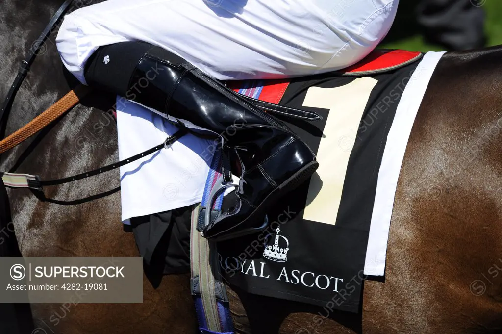 England, Berkshire, Ascot. Detail of a jockey's boot and saddle cloth mounted on a race horse on the second day of Royal Ascot 2010.