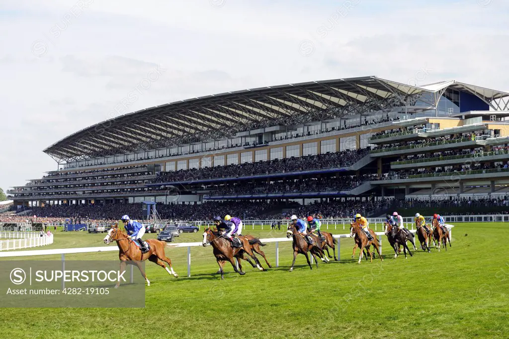 England, Berkshire, Ascot. Runners and riders racing around a bend in the Gold Cup with the grandstand in the background on day three of Royal Ascot 2010.
