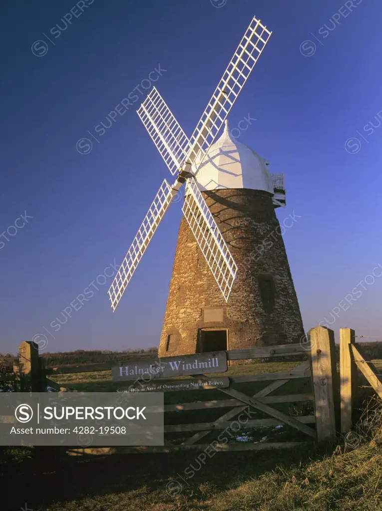 England, West Sussex, Halnaker. Halnaker windmill in late sunshine on Halnaker Hill in the South Downs.  Restored 18th century brick tower mill.