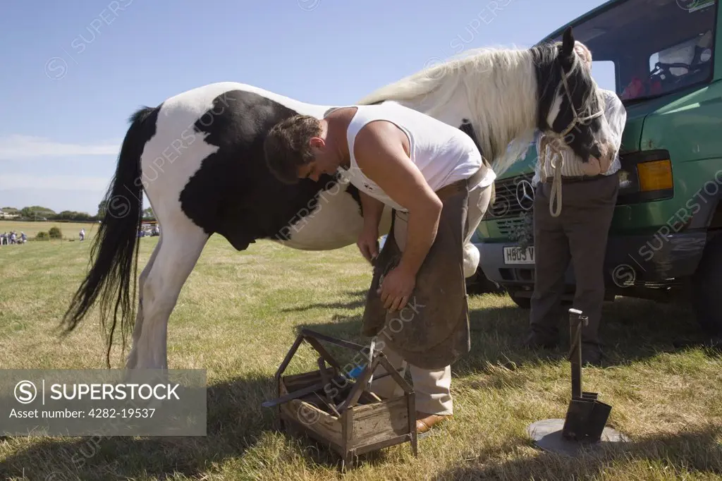North Wales, Anglesey, Pentraeth. Farrier shoeing a piebald pony at Pentraeth Country Fayre.