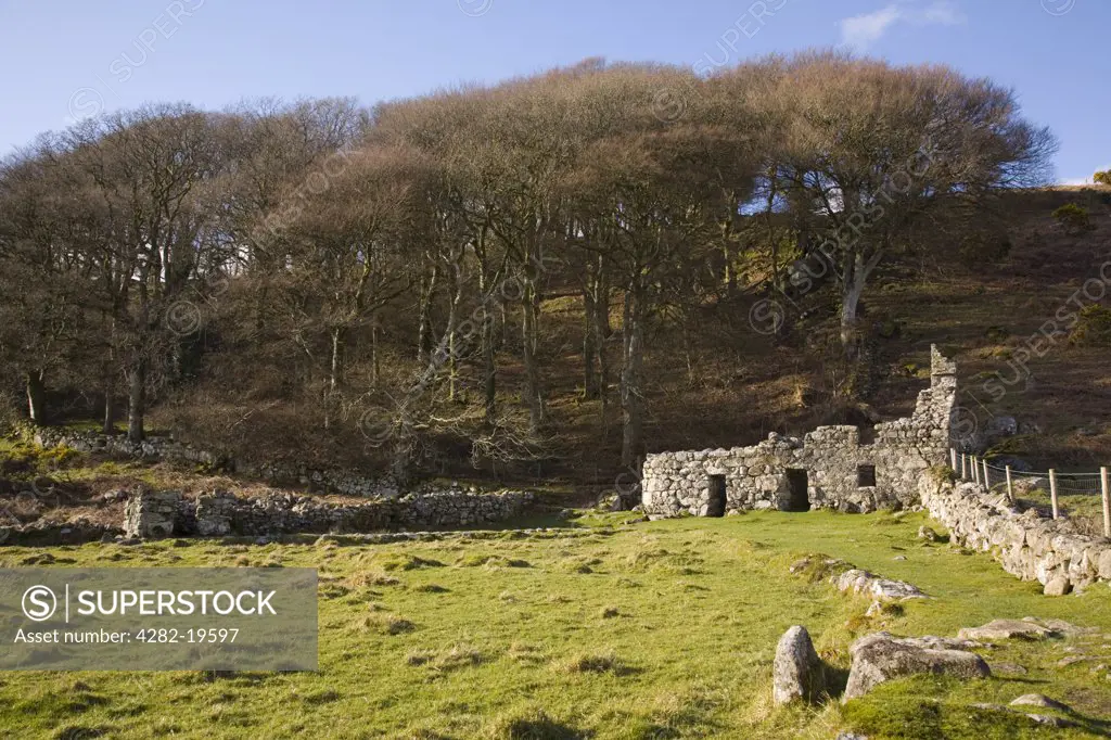North Wales, Gwynedd, Llangybi. St Cybi's holy well Ffynnon Gybi with two well chambers and caretakers stone cottage ruin on Lleyn Peninsula.