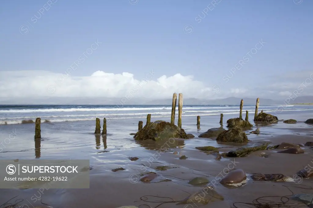 Republic of Ireland, County Kerry, Rossbeigh. Wooden posts and stones on wet sand on an empty beach at Ross Strand, west of Ross Behy on Ring of Kerry.