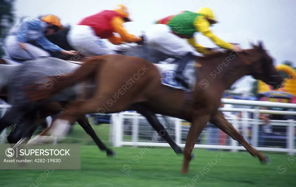 England, Leicestershire, Leicester. Horse racing at Leicester Racecourse.