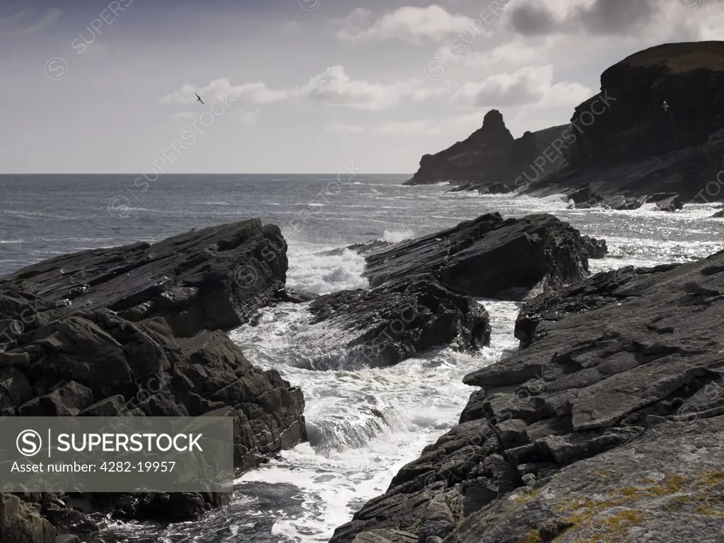 Scotland, Shetland, Bressay. Cliffs at Isle of Bressay on Shetland.