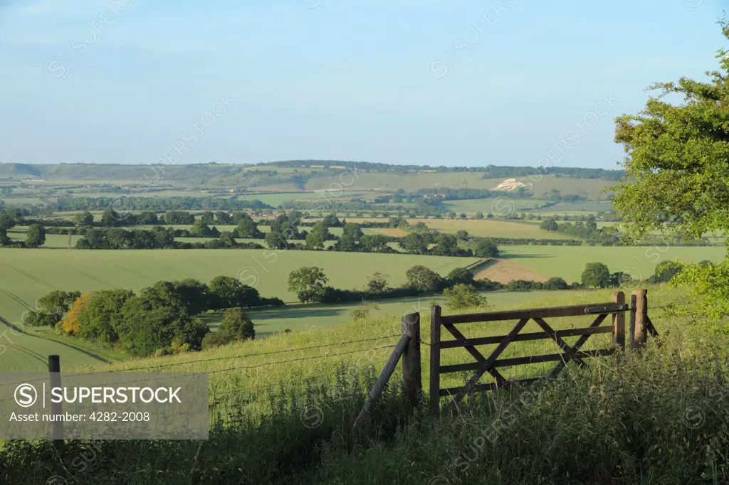 England, Buckinghamshire, Chiltern Hills. View across the Chiltern Hills towards a lion shape carved in the chalk hillside of Dunstable Downs.