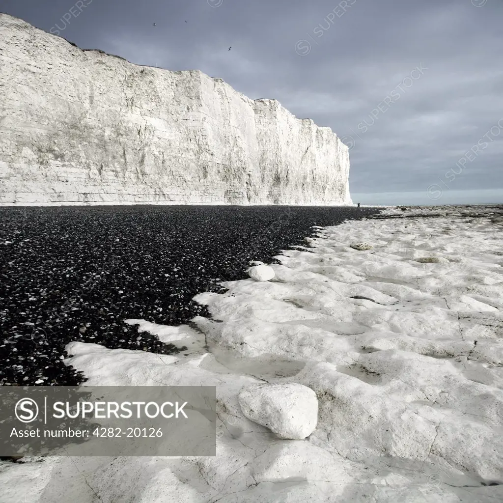 England, East Sussex, Birling Gap. View toward the chalk cliffs at Birling Gap. Coastal erosion has already removed some of the row of fishing cottages, built in 1878, that sat atop the cliffs.