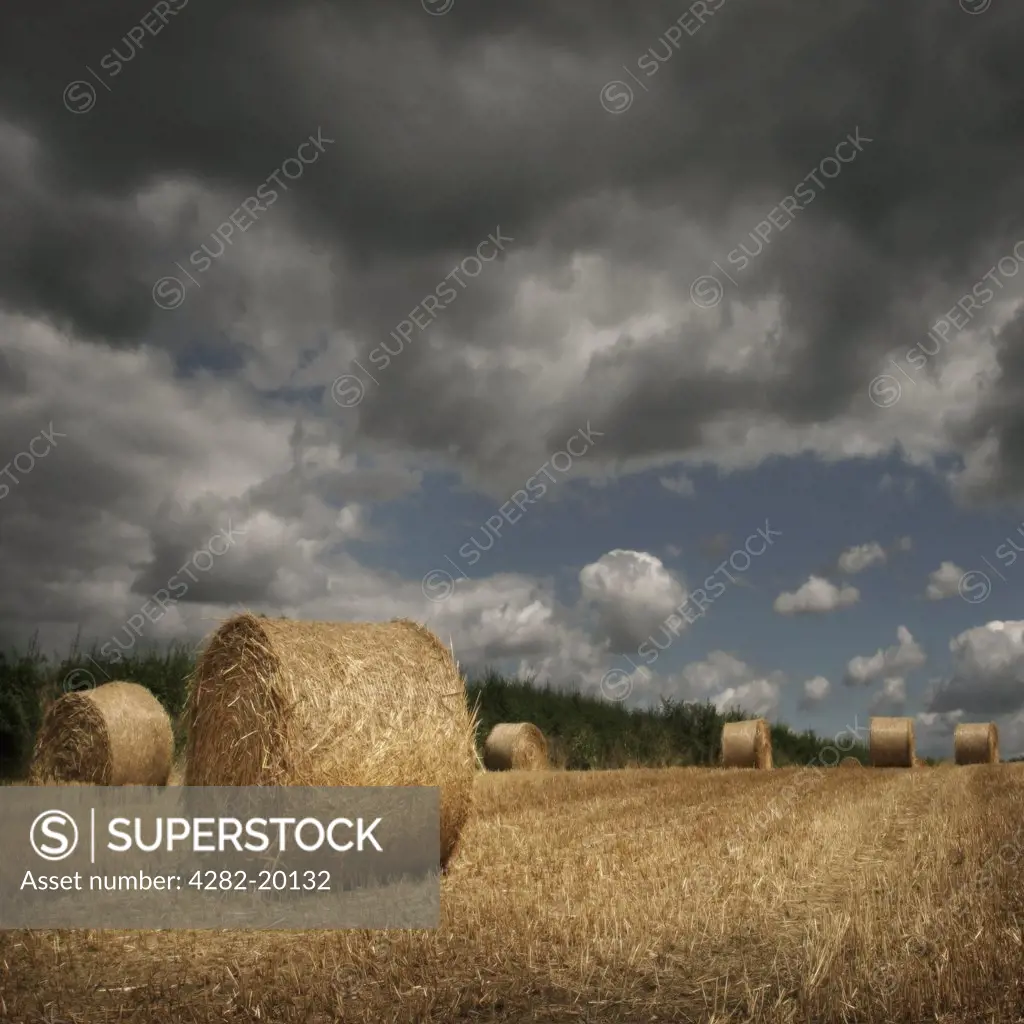 England, Oxfordshire, Winchcombe. Hay Bales in a field awaiting collection.