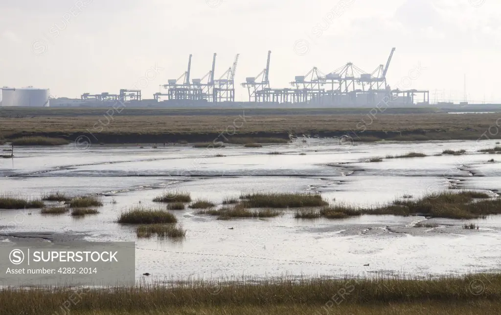England, Kent, Isle of Grain. View across marshland on the Isle of Grain towards the cranes of London Thamesport, one of the UK's busiest container ports, on the horizon.