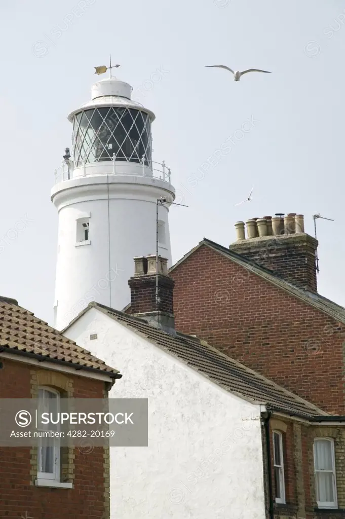 England, Suffolk, Southwold. Seagull, houses and Southwold Lighthouse. The Lighthouse station was electrified and automated in 1938.