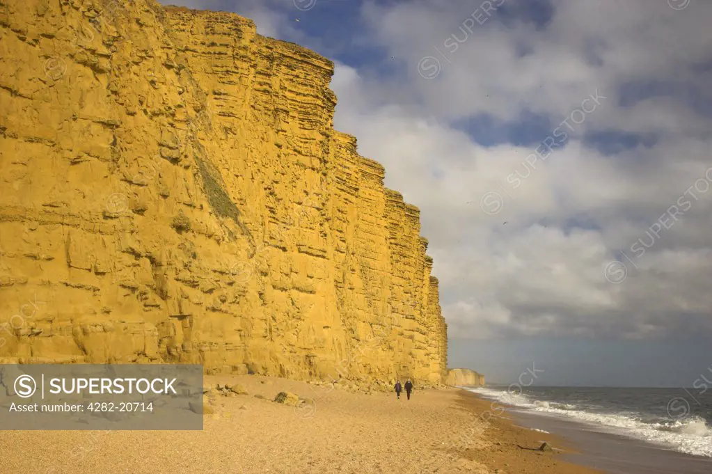 England, Dorset, West Bay. People walking along the beach below the sandstone East Cliff of West Bay on the Jurassic Coast in Dorset.