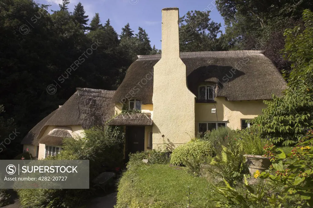 England, Somerset, Selworthy. A thatched cottage in the village of Selworthy within the Exmoor National Park.