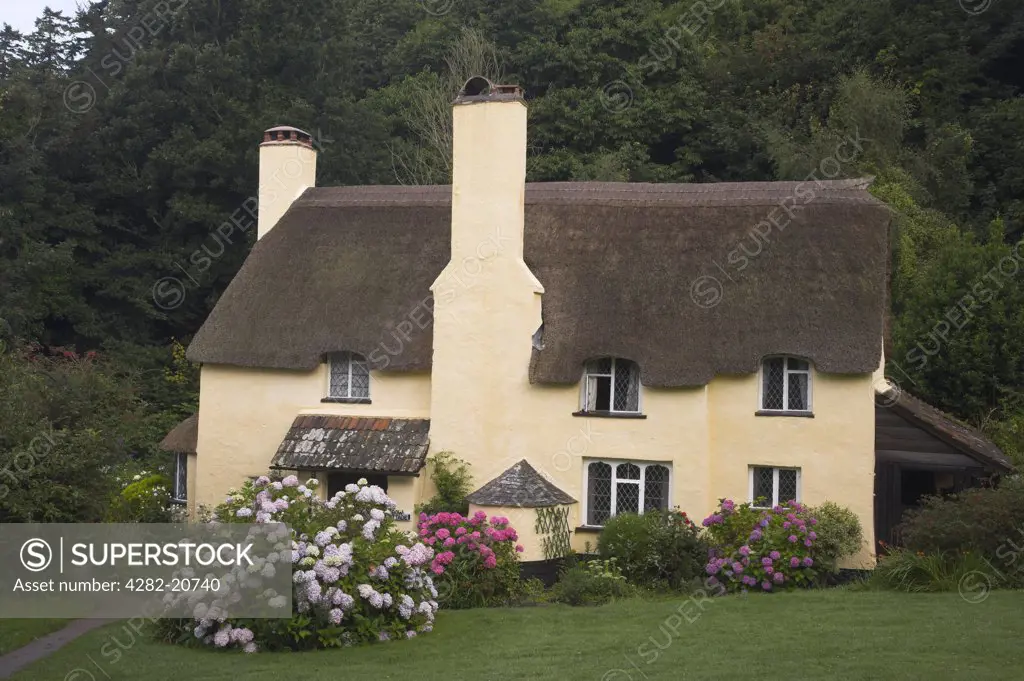 England, Somerset, Selworthy. An attractive thatched cottage in the village of Selworthy within Exmoor National Park.