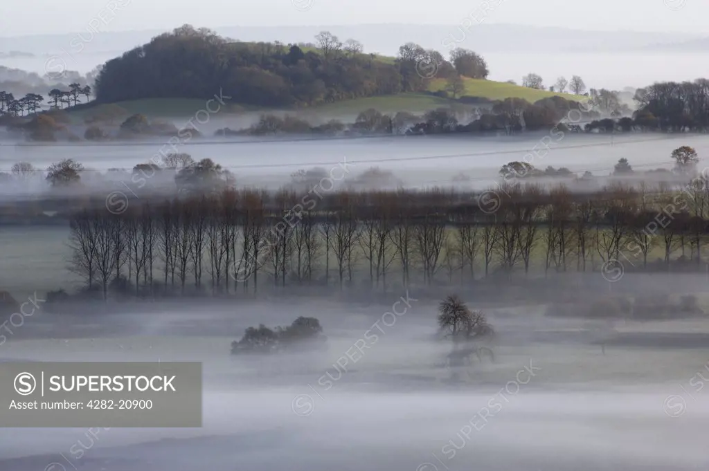 England, Hampshire, Meon Valley. Low lying mist in the Meon Valley in the South Downs National Park.