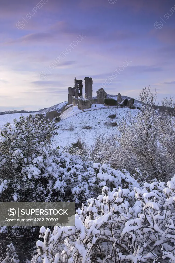 England, Dorset, Corfe Castle. The ruins of Corfe Castle on a natural, snow covered hill, guarding the main route through the Purbeck Hills.