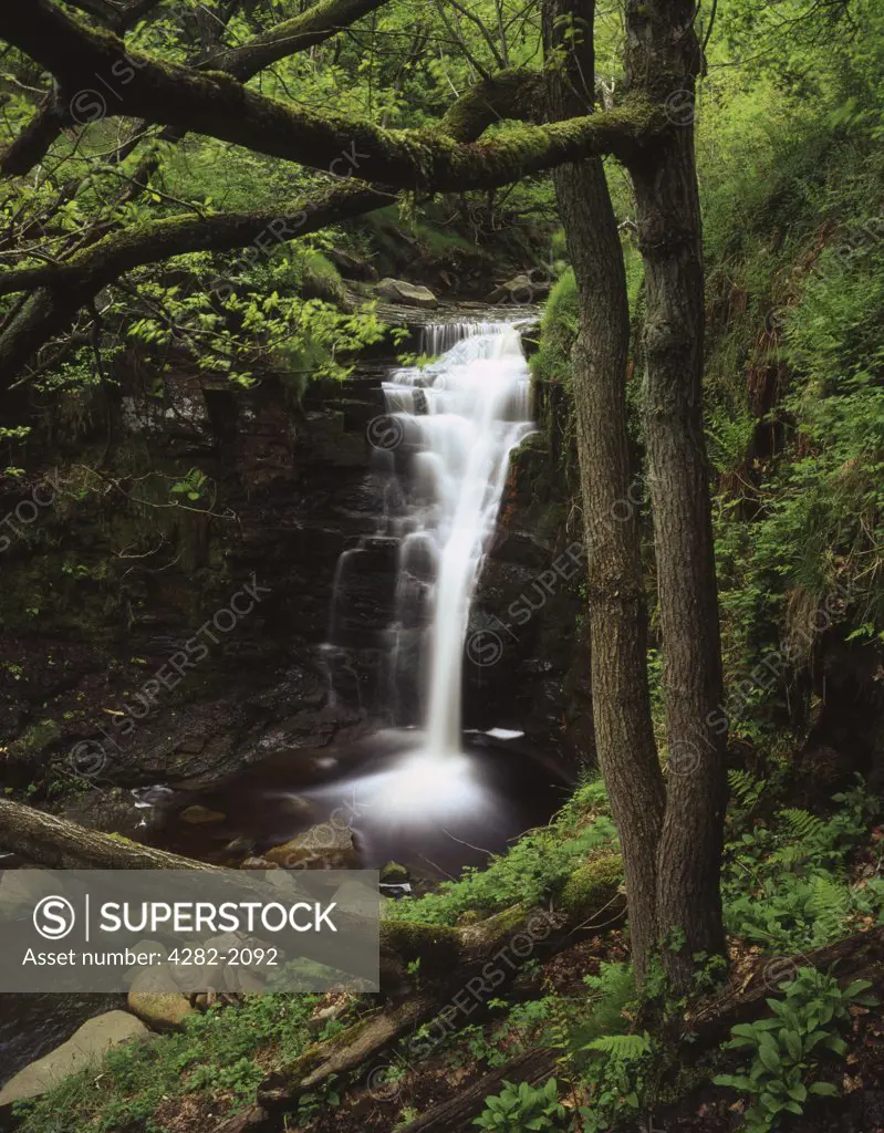 England, Lancashire, Lead Mines Clough. A small waterfall at Lead Mines Clough. Lead Mines Clough is a pretty wooded valley and takes its name from the old lead mining workings to be found there.