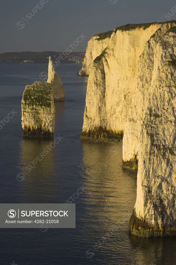England, Dorset, Studland. Dawn light on the Pinnacles, chalk sea stacks at the eastern end of the Jurassic World Heritage coastline near Swanage.