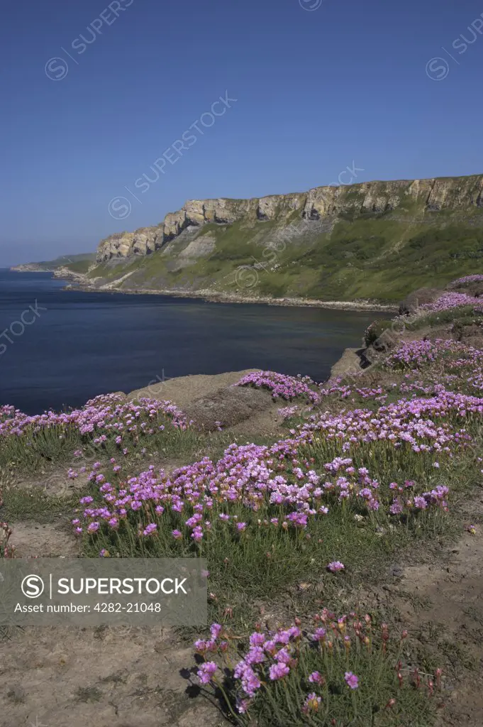 England, Dorset, Brandy Bay. View across to Brandy Bay on the Jurassic coastline of Dorset with Gad Cliff and Worbarrow Bay in the distance.