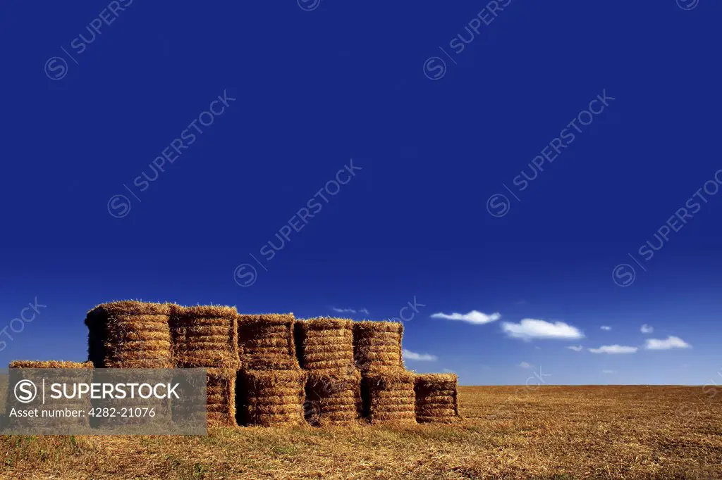 England, North Yorkshire, York. Blue skies over stacked hay bales at harvested fields in North Yorkshire.