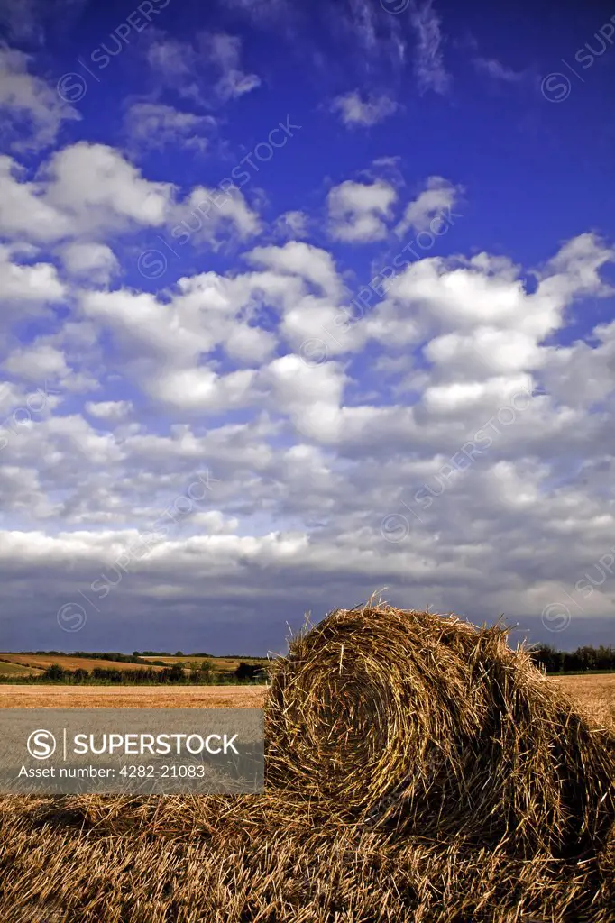 England, North Yorkshire, York. Blue skies over round hay bales at harvested fields in North Yorkshire.