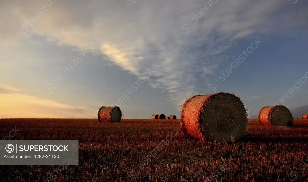 England, North Yorkshire, York. Dusk over round hay bales on harvested fields in North Yorkshire.