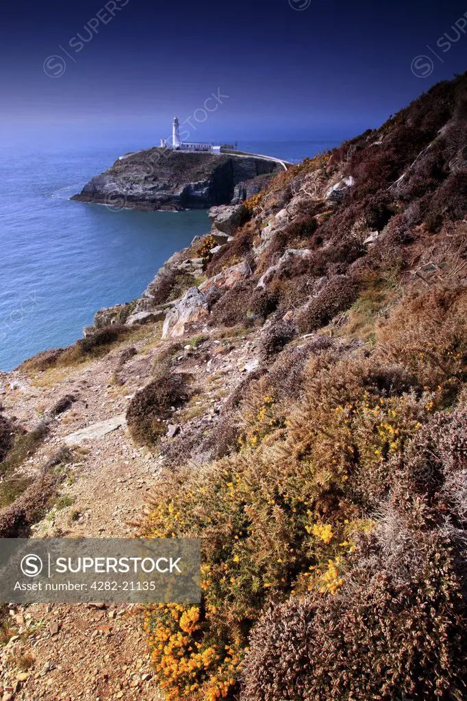 Wales, Anglesey, Holyhead. A view from the cliff top to SouthStack Lighthouse at Holyhead.