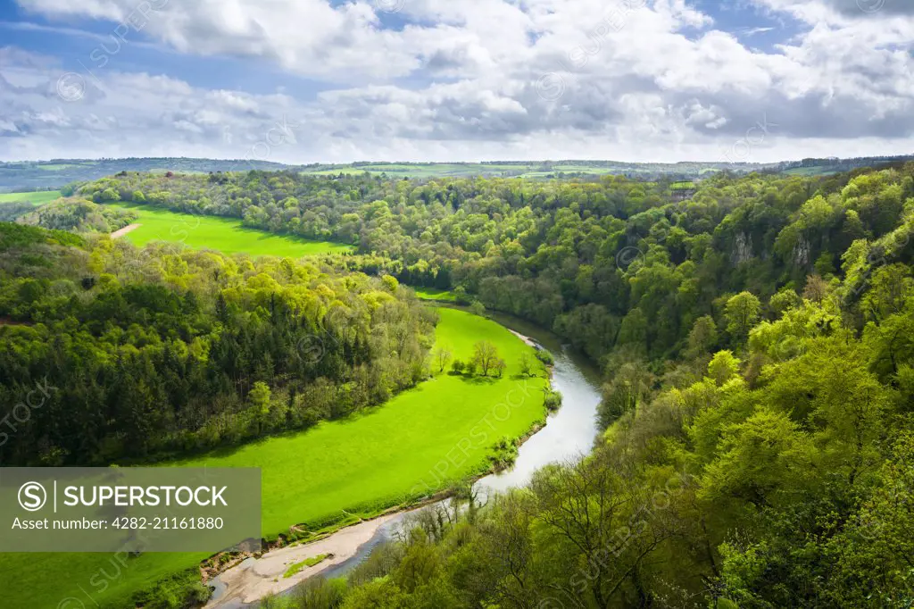 View over the Wye Valley in spring time from Yat Rock.