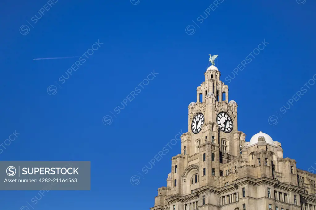 Airliner passing high above the Royal Liver building.