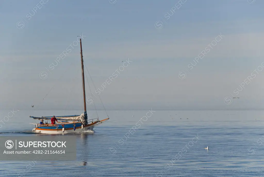 Tradational fishing boat sailing in the Adriatic sea off the coast of Piran in Slovenia.