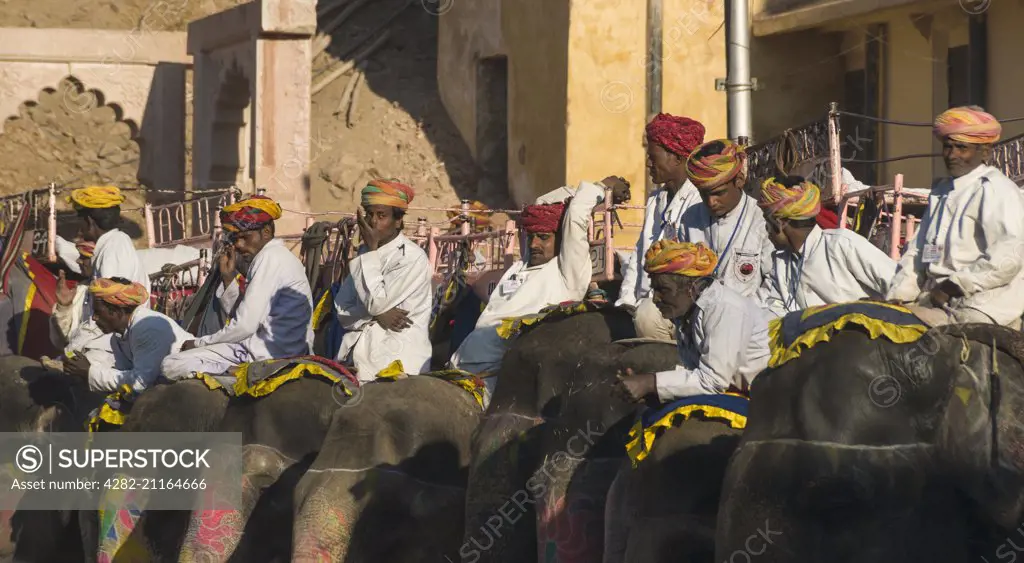 Local guides waiting to take tourists up to the Amber Fort on the back of elephants.