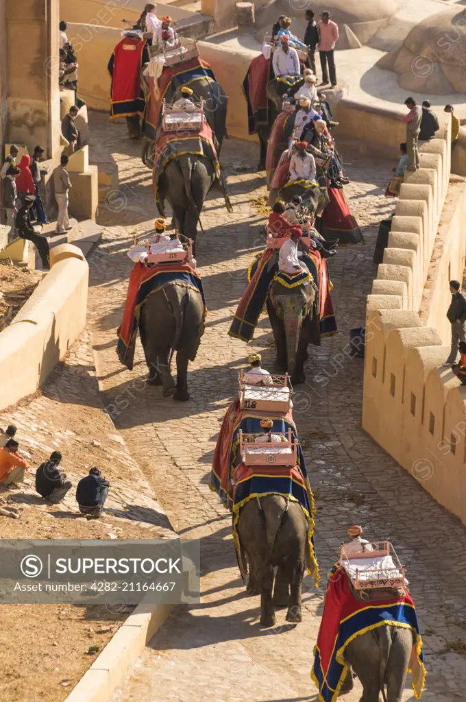 Tourists being taken up to the Amber Fort by elephant.