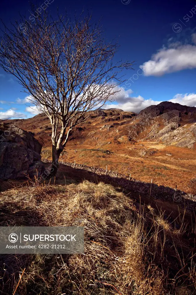 England, Cumbria, The Lake District. A view of autumn moorland and mountains in Cumbria.
