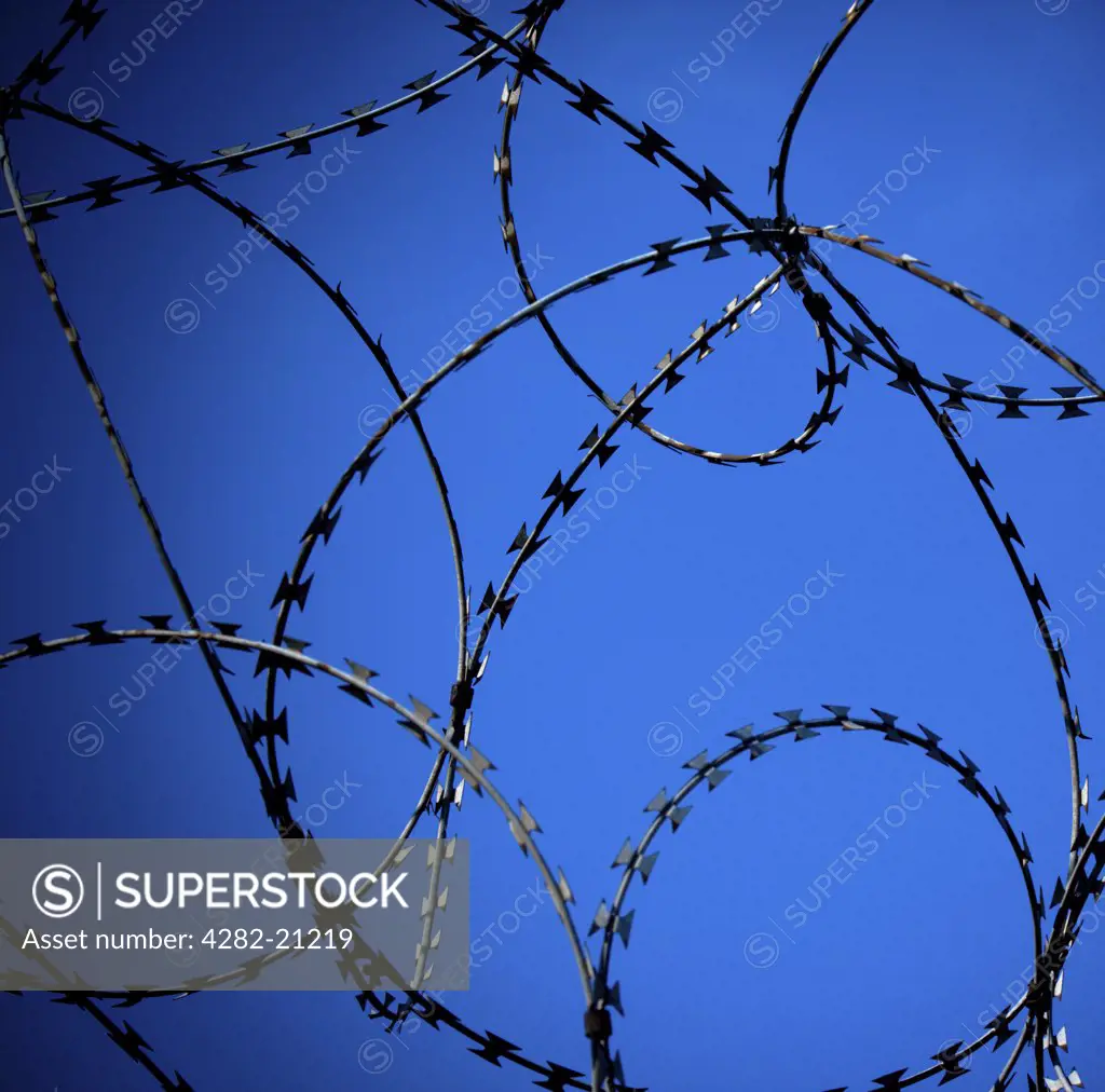 England, North Yorkshire, York. A close up of rings of barbed wire against a blue sky in York.