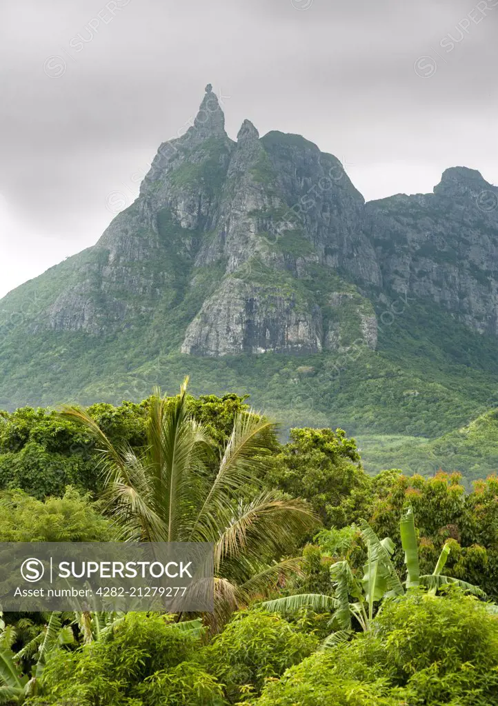 The Thumb mountain peak and surrounding vegetation in Mauritius.