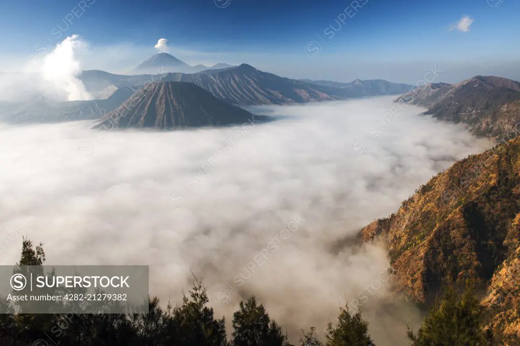 Steam venting from Mount Bromo volcano in Bromo Tengger Semeru National Park in Indonesia.