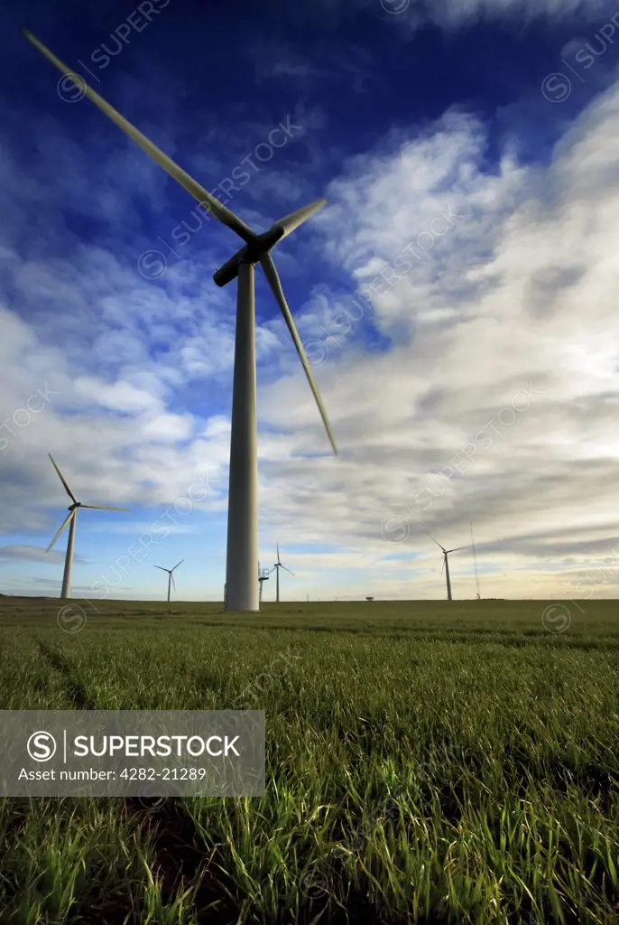 England, East Yorkshire, Withernsea. Blue skies above the turbines at Withernsea Windfarm in East Yorkshire.