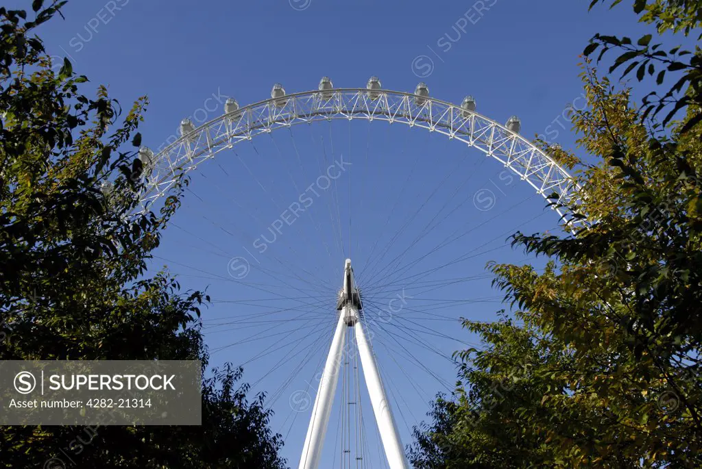 England, London, South Bank. Looking up at the London Eye. It is officially the world's most popular tourist attraction, more popular than the Statue of Liberty and the Eiffel Tower.