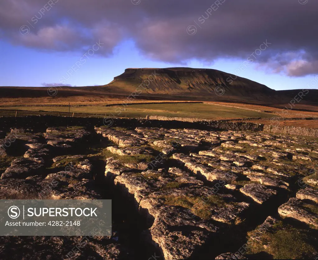 England, North Yorkshire, Pen-y-Ghent. Dale Head on the Pennine Way. It offers excellent views of Pen-y-Ghent, one of the famous Three Peaks of the Yorkshire Dales.
