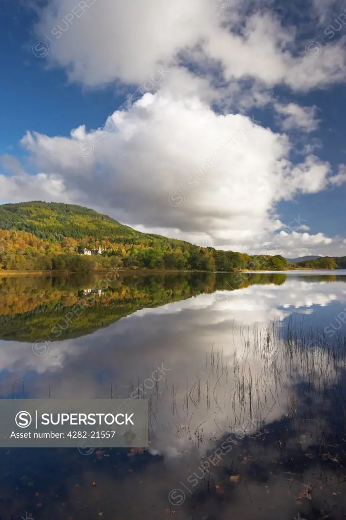 Scotland, Perthshire, Stirling. Loch Achray Reflections. It lies between Loch Venachar and Loch Katrine, 7 miles (11 km) west of Callander and has a surface area of 82 ha (202.6 acres) and a mean depth of 11m (36 feet).