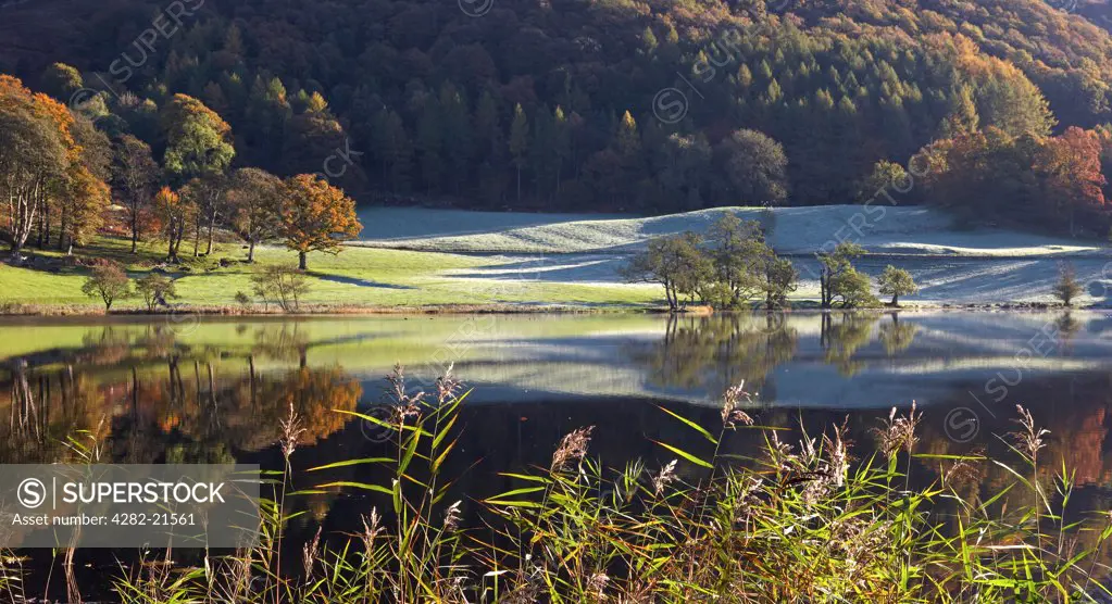 England, Cumbria, Loughrigg. Loughrigg Tarn in autumn. The tarn is almost circular in form, with striking views north-west towards the Langdale Pikes, and described by William Wordsworth as being a 'most beautiful example'.