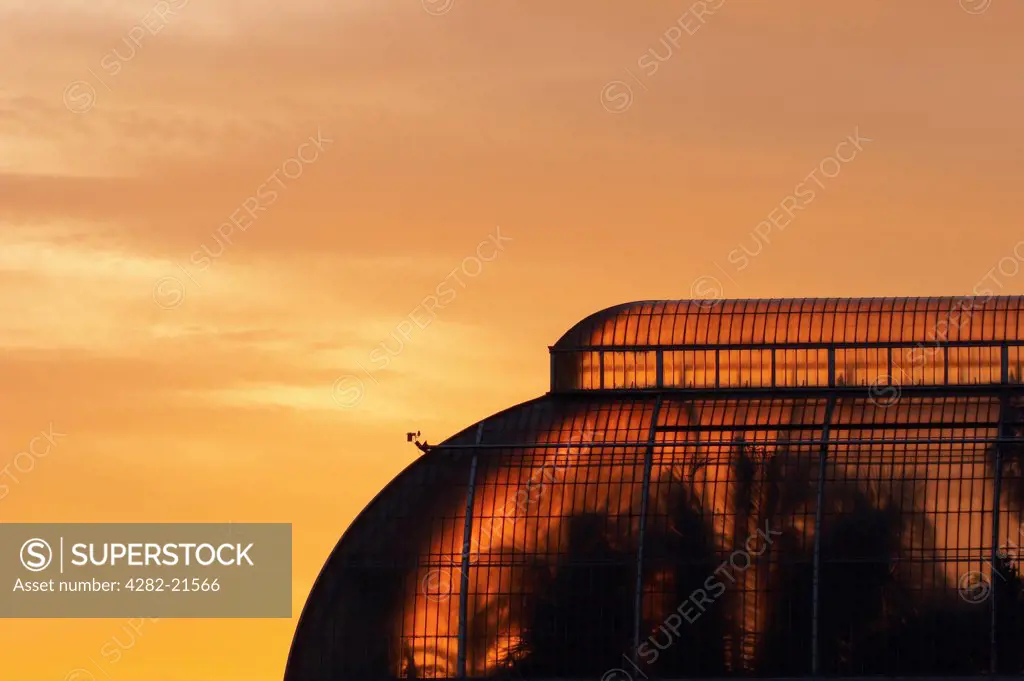 England, Surrey, Kew Gardens. The Palm House at sunset. Built in1844-48 by Richard Turner to Decimus Burton's designs, the Palm House is Kew's most recognisable building.