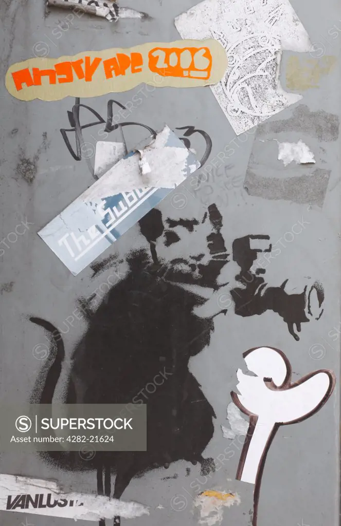 England, London, London. Rat with Camera by Banksy. Keeping his identity a closely guarded secret, the graffiti artist Banksy has made a name for himself with provocative images stencilled around the streets of London.